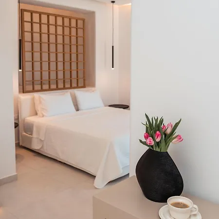 ホテル Oikos Santorini Living Concept 5*